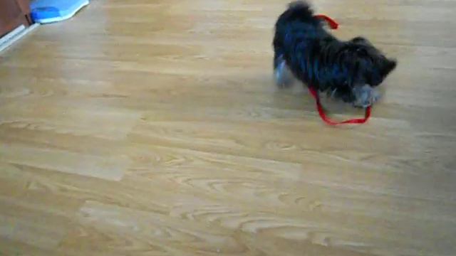 DSCN5617 смотреть онлайн