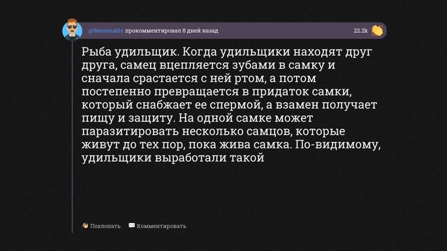 Какие ритуалы у животных кажутся вам странными? смотреть онлайн