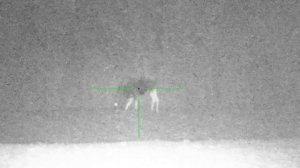 Прицел Sytong ht-60. Дистанция 180 метров