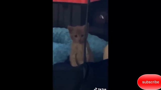 Can you watch this till the end without laughing 🤔   happy years 2023 смотреть онлайн