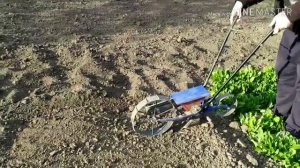 Как правильно садить Морковь в Больших количествах !