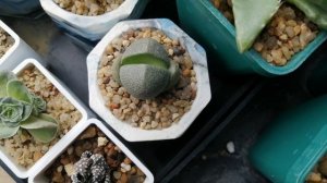 А кто это у нас там?