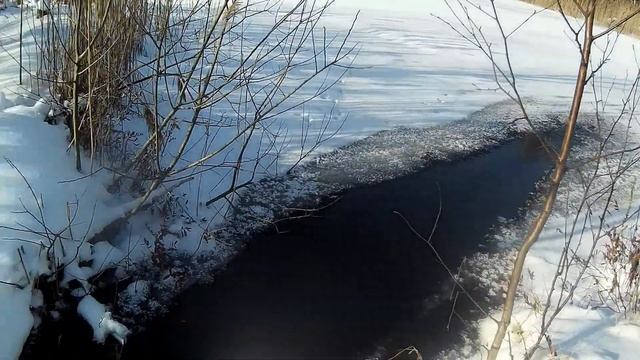 Рыбалка на вершу-морду! ЗИМА 2020 в Феврале...... смотреть онлайн