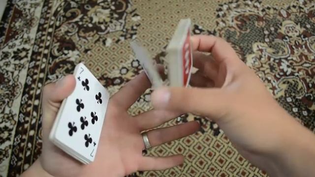 Обучение флоришу колибри (colibri) смотреть онлайн