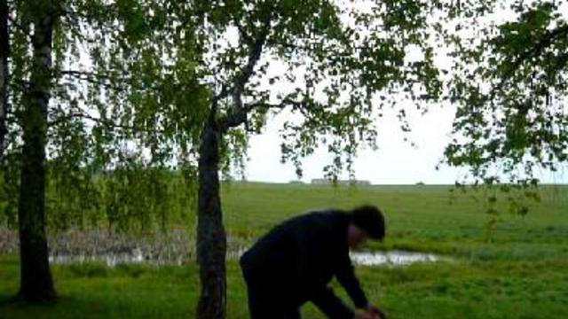 Угодай кто? смотреть онлайн