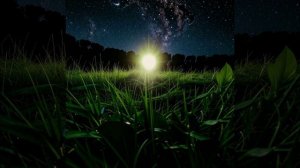 Свет звезды