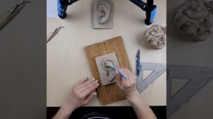 мастер-класс по лепке уха от Анны Гагиной