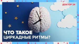 Что такое ЦИРКАДНЫЕ РИТМЫ? ТЕМЫ НЕДЕЛИ | Доктор 24