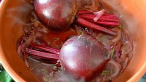 Молодая свекла с красным луком