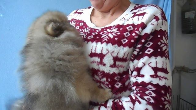 фото 12 нед 115 смотреть онлайн