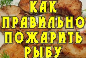 Как пожарить зубатку.