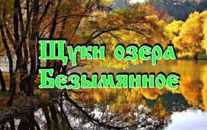 Щуки озера Безымянное.mp4
