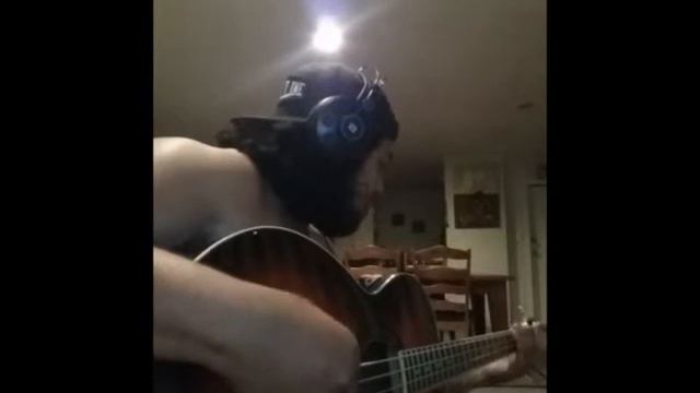 Sweet child of doom (acoustic bass) смотреть онлайн