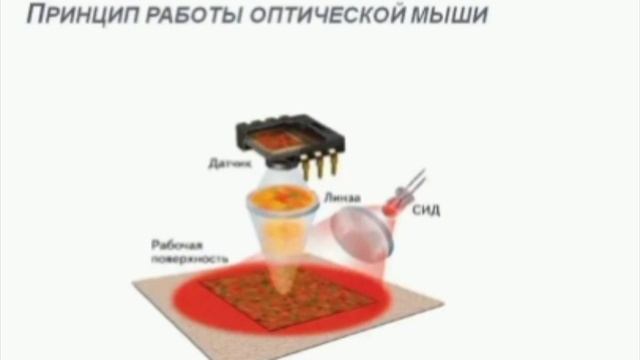 Как работала первая компьютерная мышь?