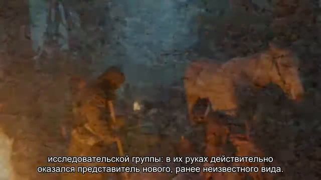 В заброшенных шахтах найдена летучая мышь с ярко-оранжевым мехом смотреть онлайн