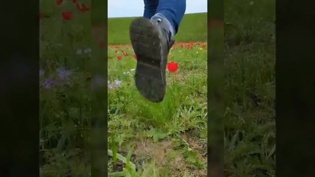 Ростовский заповедник! смотреть онлайн