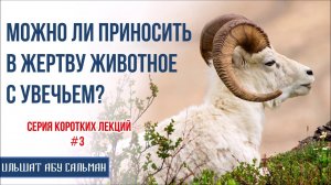 Ильшат Абу Сальман. Можно ли приносить в жертву животное с увечьем? Серия лекций Курбан-Байрам