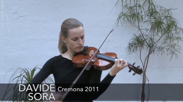 Violins by Davide Sora смотреть онлайн