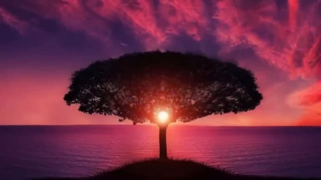 23 февраля: Самый продуктивный день недели. Помощь Рода. Ритуал "Сила и помощь Рода" смотреть онлайн