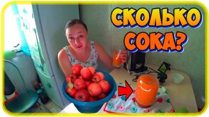 ЛИТР СОКА ЯБЛОЧНОГО / Сколько нужно яблок?