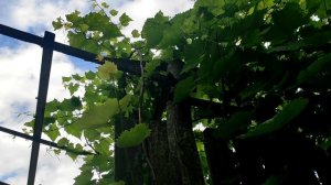 Можно ли дарить зеркало: народные суеверия и приметы