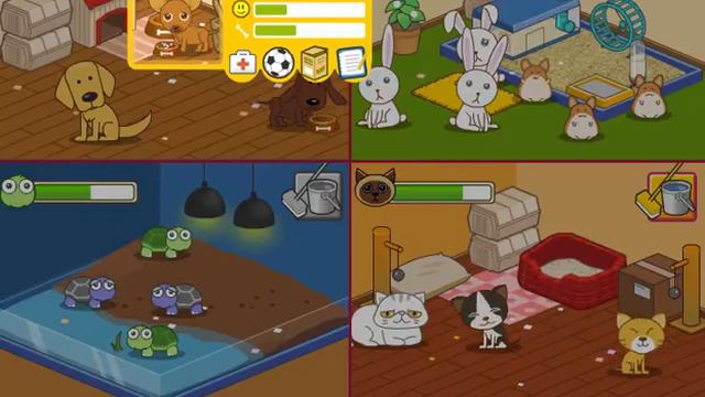 играем в игру "приют для животных"часть 1 смотреть онлайн