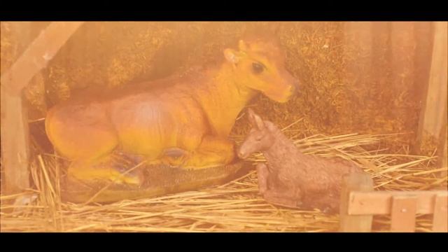 Рождественская История