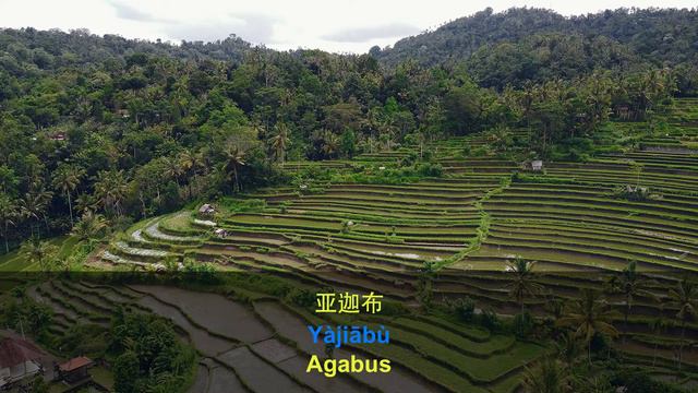 Learn Chinese Vocabulary & Tour Beautiful Places - Part 2 Bali