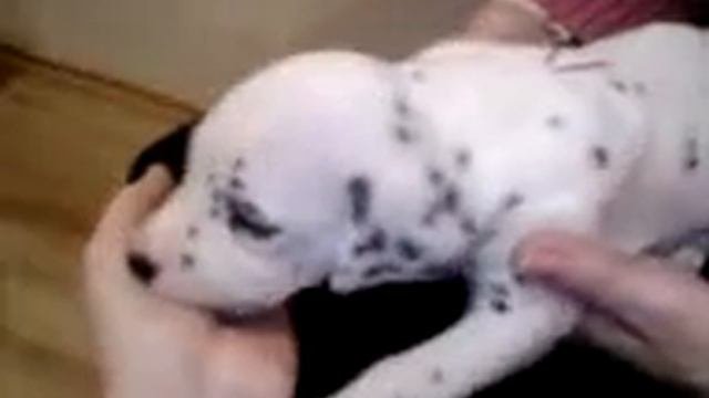 1 видео с Ричардом