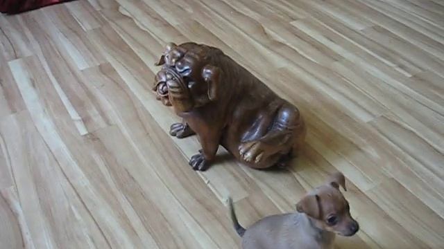 щшгн 004 смотреть онлайн