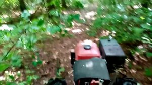 Прогулка по лесу после дождя на мотоблоке.