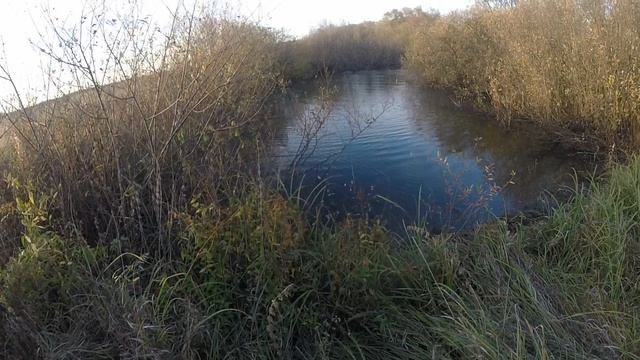 подняли двух чирков смотреть онлайн