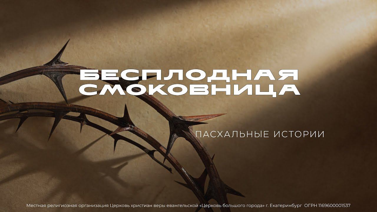 Бесплодная смоковница