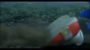 Песня скелет монстр соник ехе