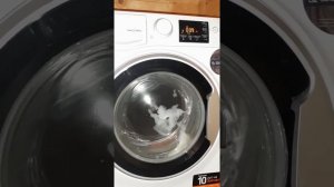 Стираем 2 игрушки собачку и кошечку в стиральной машинке hotpoint ariston