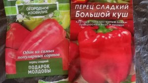 Как сеять болгарский перец на рассаду!