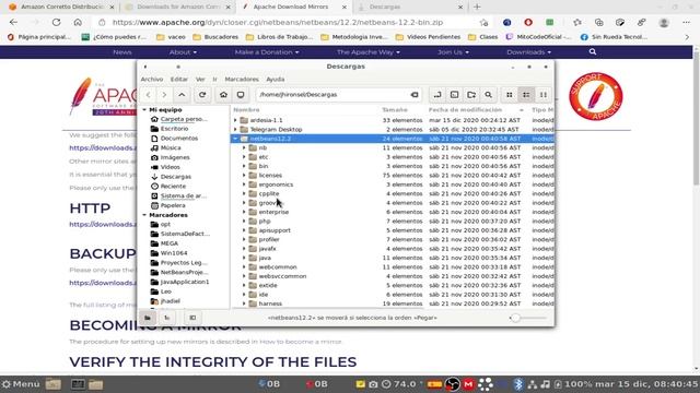 02 Instalación del JDK Correto y Netbeans linux смотреть онлайн