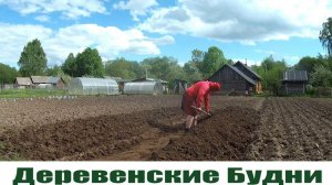 Наконец то пристроили перья от 300 индюков, деревенские будни и время неумолимо летит вперед!