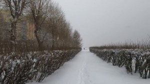 4k Дыхание Арктики. Breath of the Arctic. Walk in a blizzard. 北极的气息。走在暴风雪中。