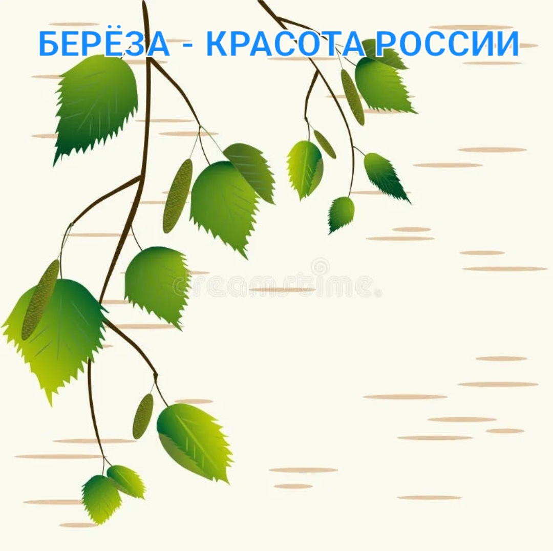 Картинка берёза символ россии