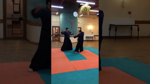 Aiki jujutsu audomarois