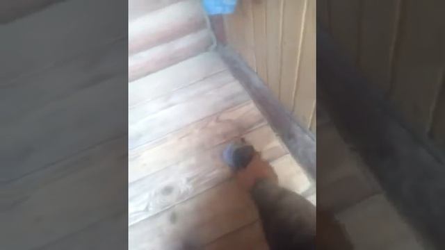 Шлифовка деревянного пола лепестковым диском