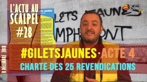  Actu au Scalpel #28 : #GiletsJaunes – Acte 4 + Charte des 25 revendications 	
