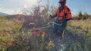 Destroying some bushes with Stihl Fs 561 C-EM with 320 mm shredder blade.