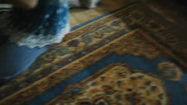 Купила шиншиллу. Ко мне приехал мой Люций
