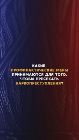 Какие профилактические меры проводятся для борьбы с наркоманией?