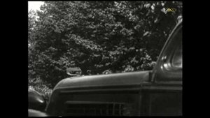 Почему нарушаете, товарищ? Платите штраф!