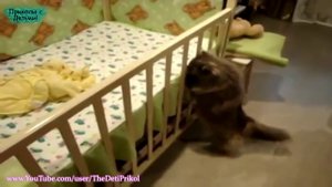 Лучшая подборка Кошки и Дети!Приколы с Детьми! _ Funny Videos Cats and Kids!