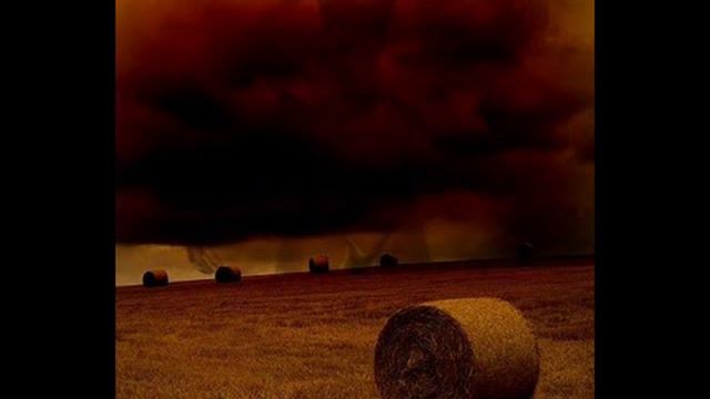 The damned land of the rotoballs - demo version смотреть онлайн