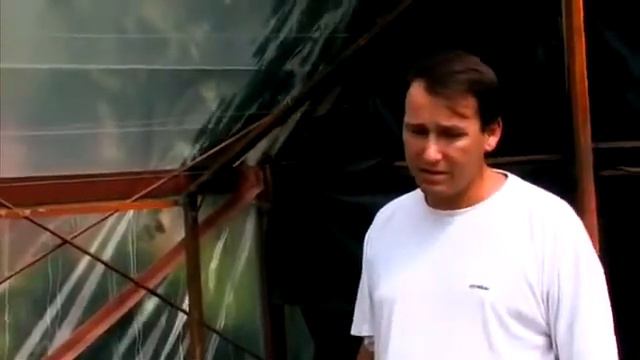Цветы  Опытом делятся профессионалы часть 1